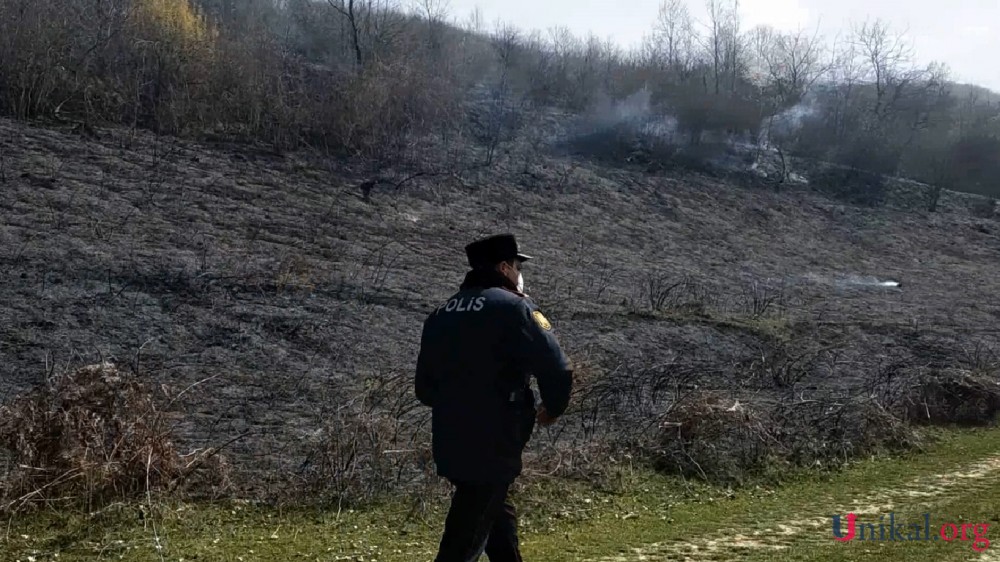 Qubada yanğın törədən şəxs saxlanıldı - Foto